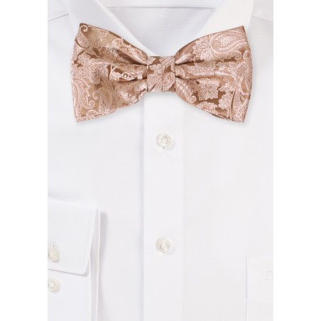 Golden Paisley Bow Tie in Pre-Tied Bowtie Style