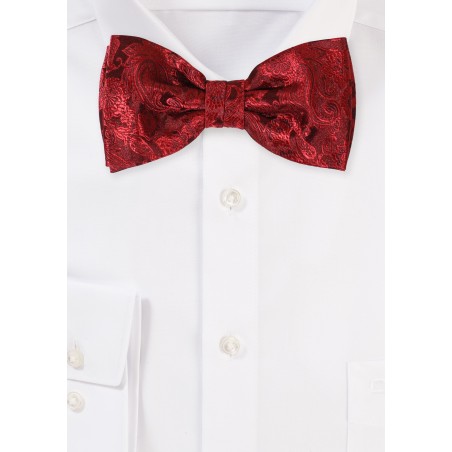 Victorian Burgundy Paisley Bow Tie in Pre-Tied Bowtie Style