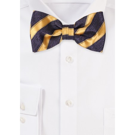 Dark Purple Bowtie with Gold Stripes