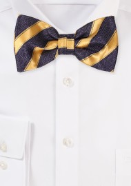 Dark Purple Bowtie with Gold Stripes