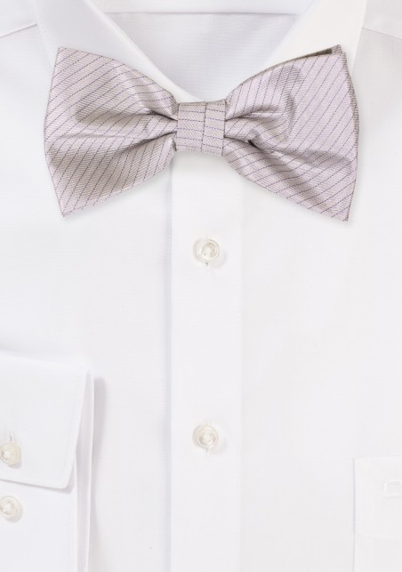 Silver Gray Colored Bowtie with Pencil Stripes