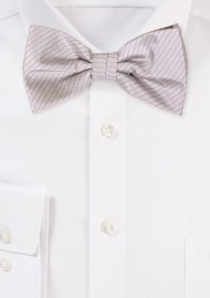 Silver Gray Colored Bowtie with Pencil Stripes