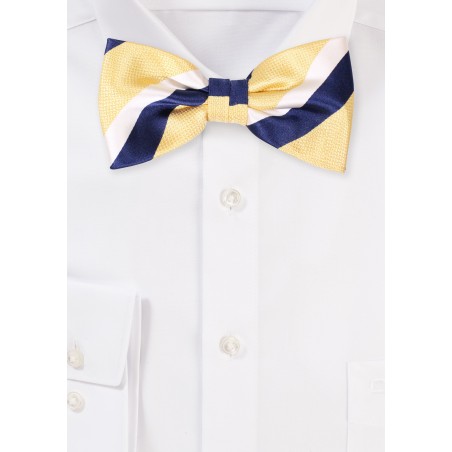 Rugby Striped Bowtie in Navy, yellow, White