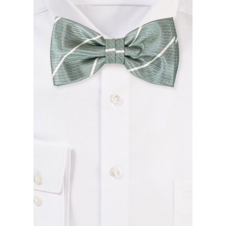 Eucalyptus and Cream Striped Bow Tie