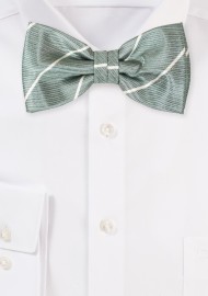Eucalyptus and Cream Striped Bow Tie