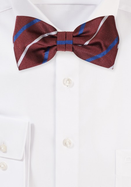 Classic Striped Bow Tie in Dark Burgundy and Navy