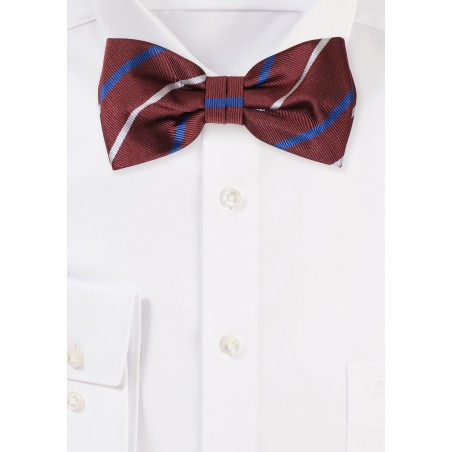 Classic Striped Bow Tie in Dark Burgundy and Navy