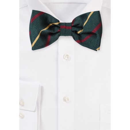 Striped Bow Tie in Hunter Green, Gold, Burgundy