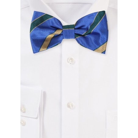 Repp Striped Bowtie in Blue, Gold, Green