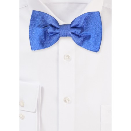 Elegant Blue Color Bowtie with Woven Texture