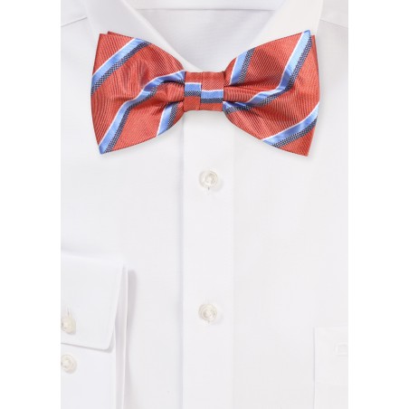 Stripe Bowtie in Cinnamon and Light Blue