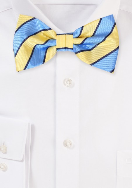 Light Blue and Yellow Summer Repp Stripe Bowtie