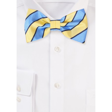 Light Blue and Yellow Summer Repp Stripe Bowtie