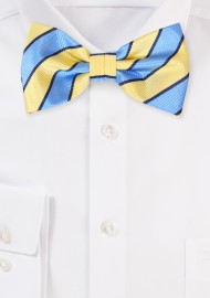 Light Blue and Yellow Summer Repp Stripe Bowtie