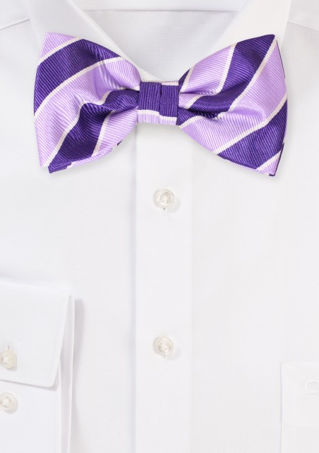 Purple and Lavender Striped Bow Tie
