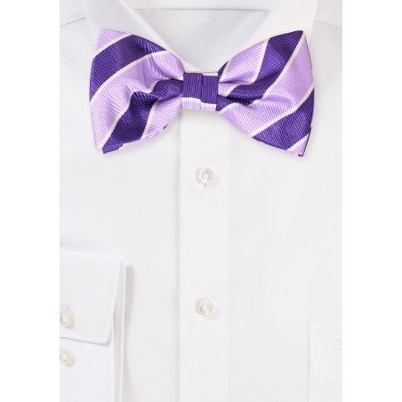 Purple and Lavender Striped Bow Tie