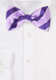 Purple and Lavender Striped Bow Tie