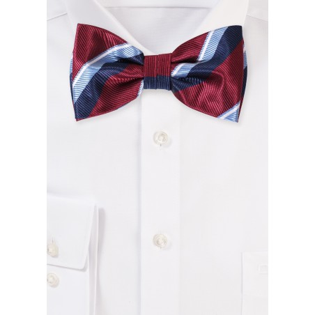 Regimental Stripe Bow tie in Burgundy and Blue