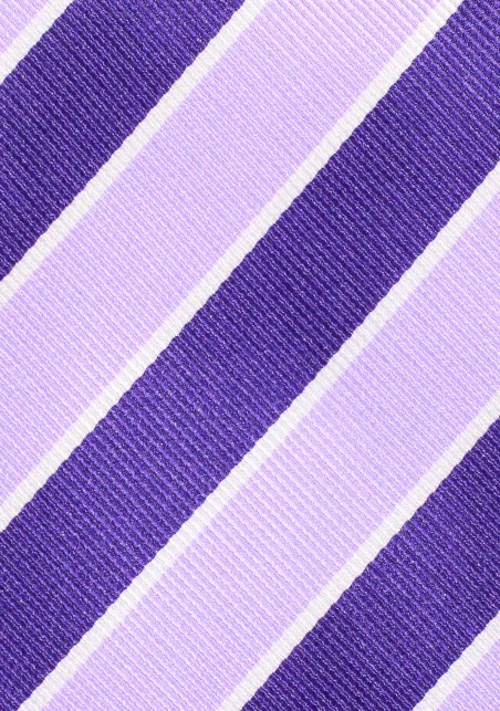 Extra Long Regency and Lavender Repp Striped Necktie in XL Length