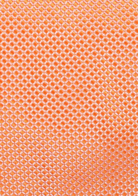 Tangerine Orange Necktie for Boys