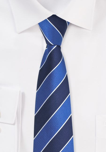 Preppy Skinny Striped Tie in Blues