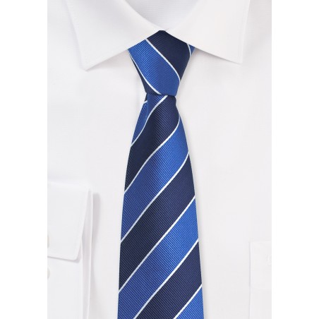 Preppy Skinny Striped Tie in Blues