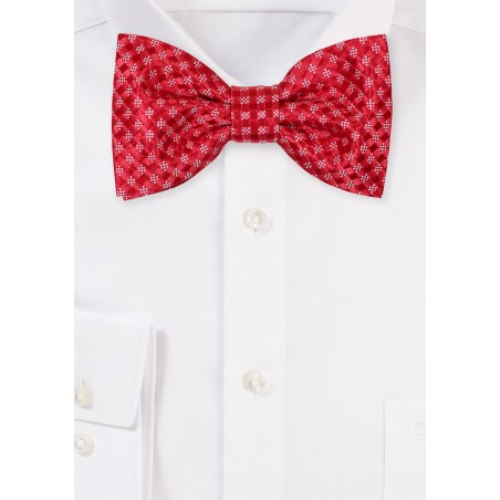 Cherry and Bright Red Mens Bowtie