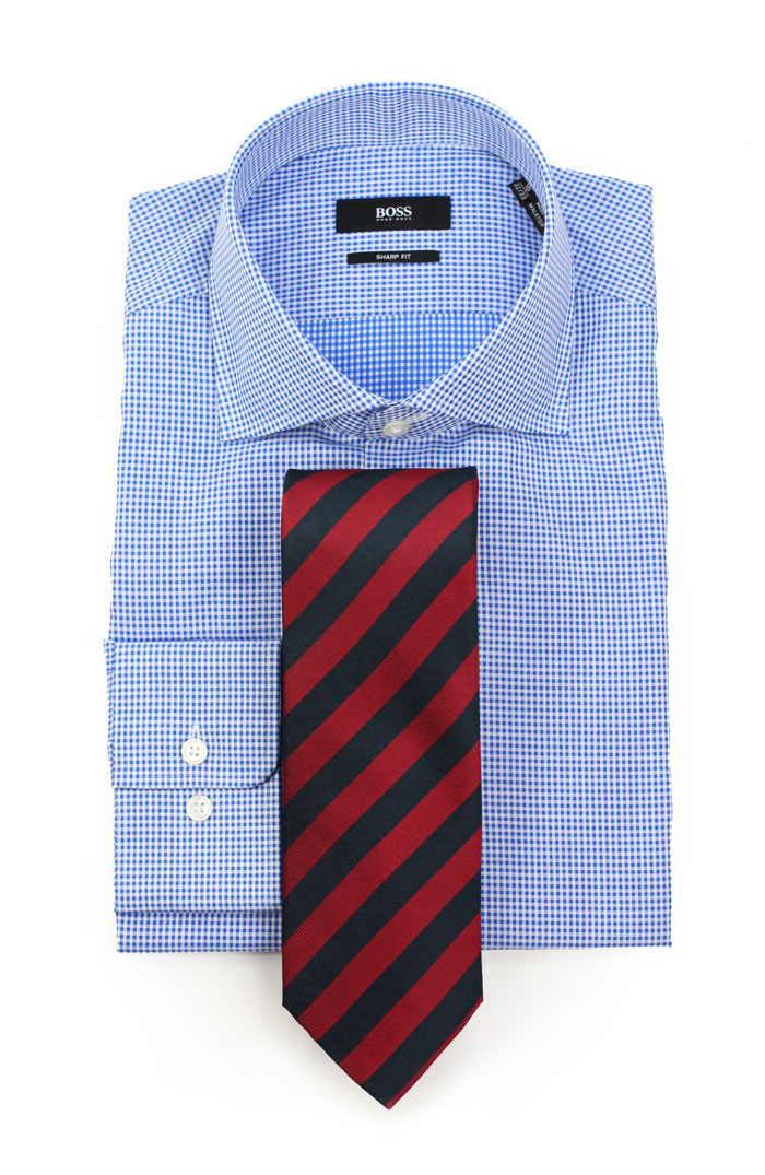 Red and Blue Striped Tie and Check Shirt