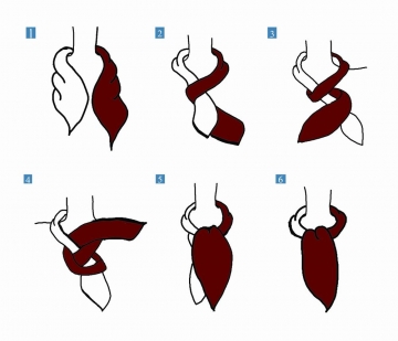 How to Tie an Ascot