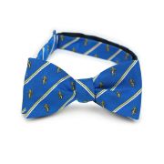 Alpha Epsilon Pi Men's Bow Tie