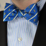 Alpha Epsilon Pi Men's Bow Tie Styled