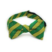 Alpha Gamma Rho Men's Bow Tie