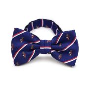 Beta Theta Pi Men's Pre-Tied Bow Tie