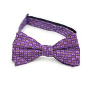 Delta Tau Delta Men's Bow Tie