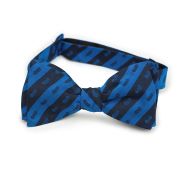 Phi Delta Theta Men's Bow Tie