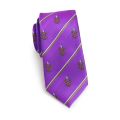 Phi Gamma Delta Men's Skinny Necktie
