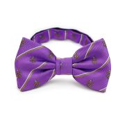 Phi Gamma Delta Men's Pre-Tied Bow Tie