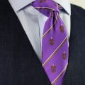Phi Gamma Delta Men's Skinny Necktie Styled