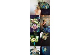 Featured Wedding Color - Peacock